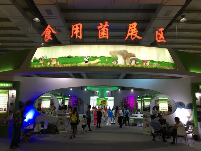 九游会·J9(中国游)官方网站-真人游戏第一品牌