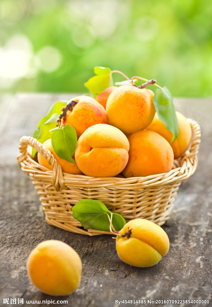 九游会·J9(中国游)官方网站-真人游戏第一品牌