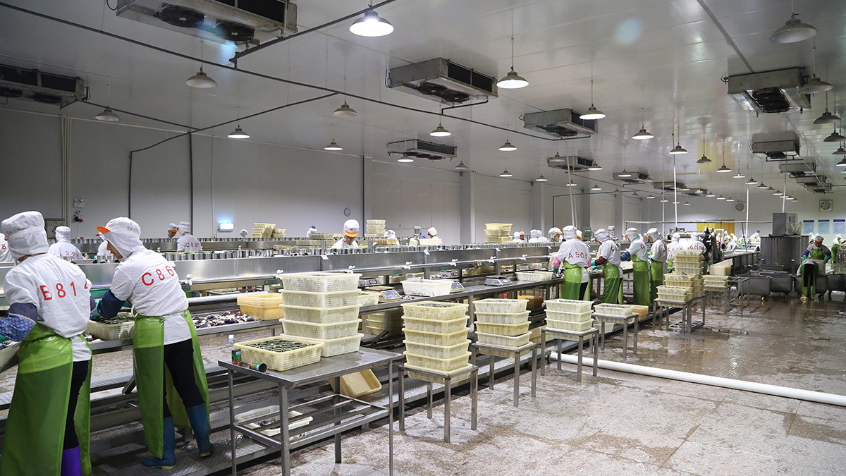 九游会·J9(中国游)官方网站-真人游戏第一品牌