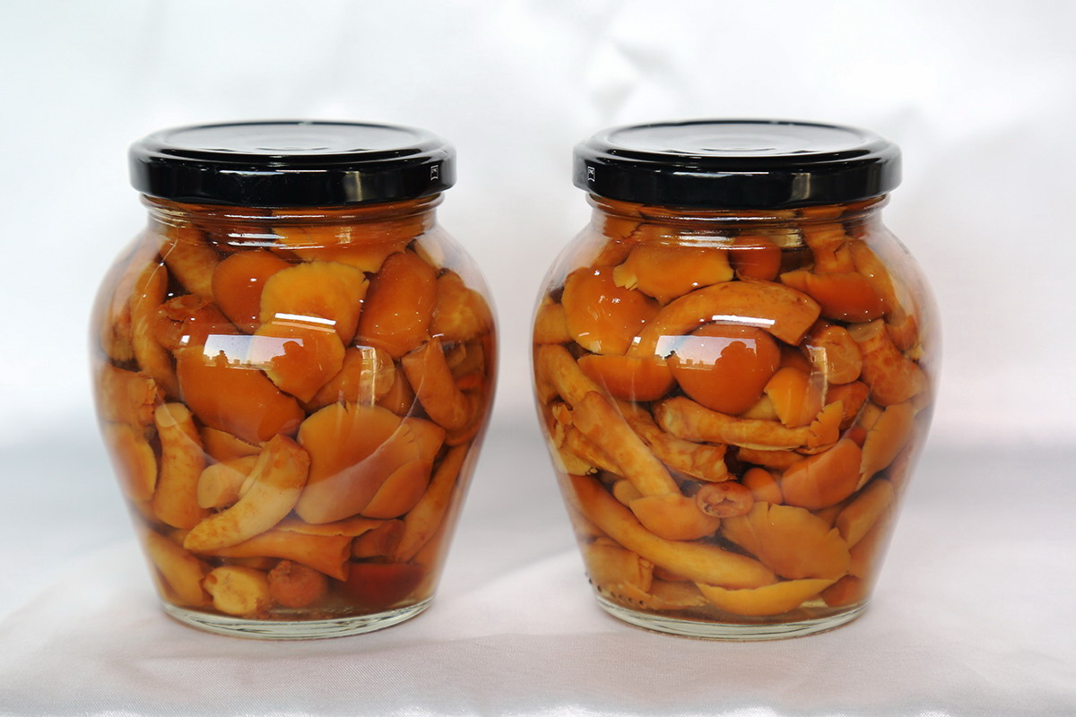 九游会·J9(中国游)官方网站-真人游戏第一品牌