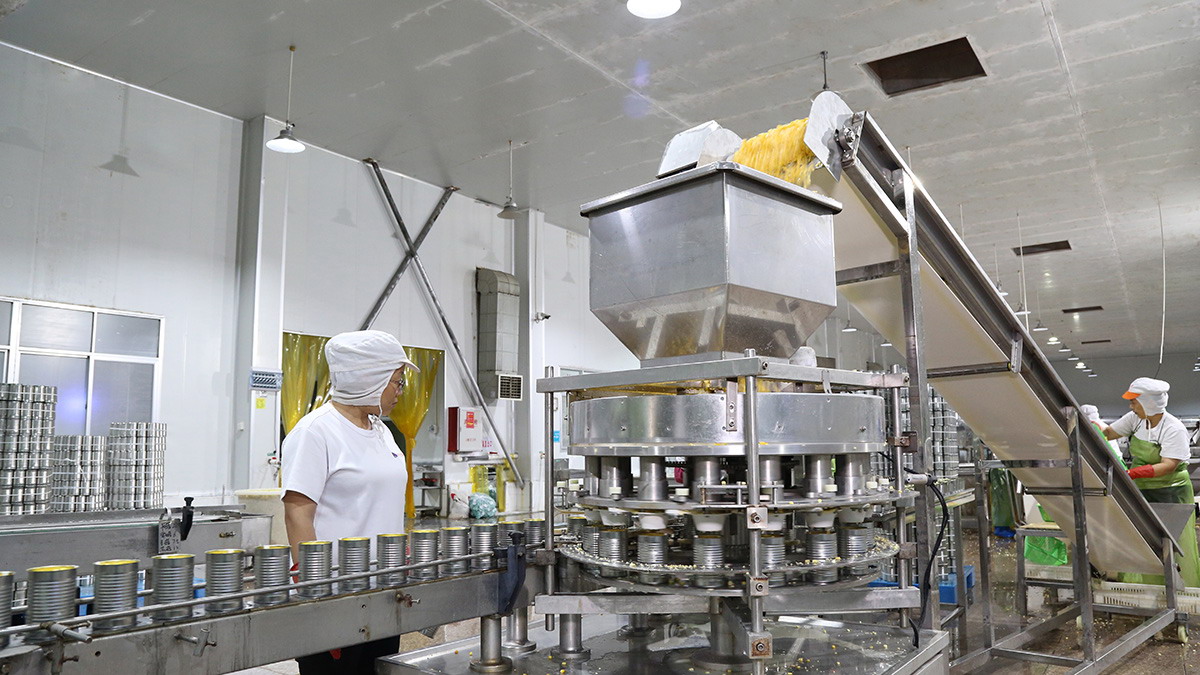 九游会·J9(中国游)官方网站-真人游戏第一品牌