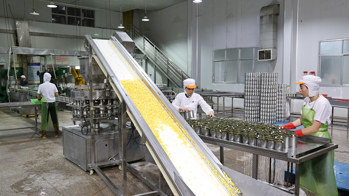 九游会·J9(中国游)官方网站-真人游戏第一品牌